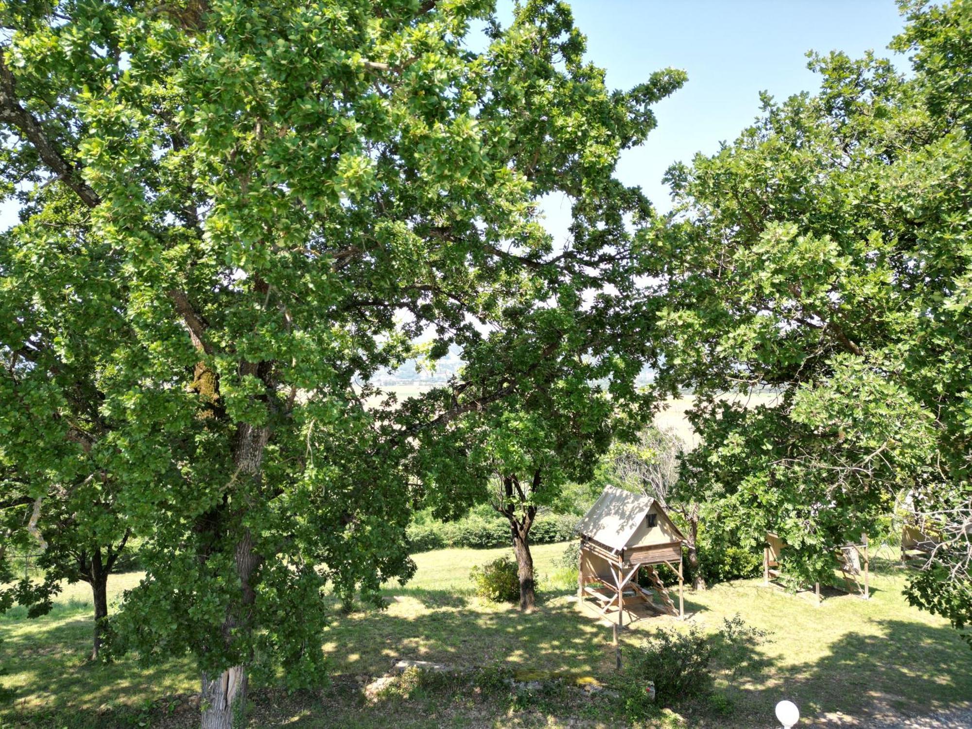 Camping Domaine De Senaud Albon ภายนอก รูปภาพ